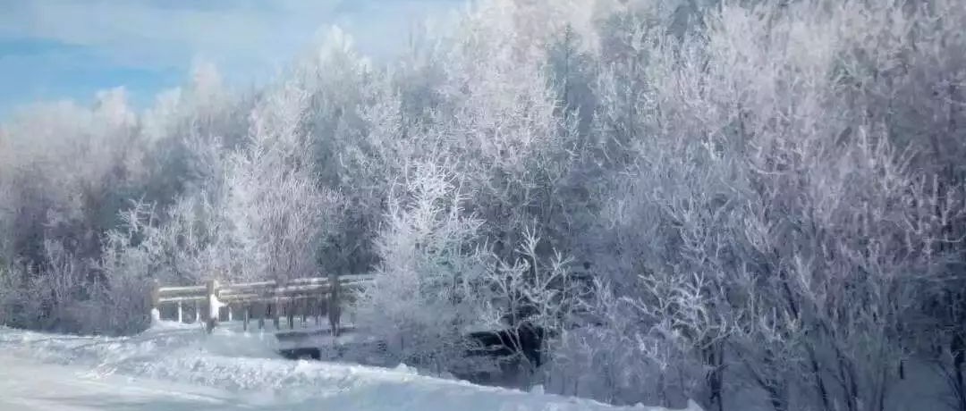 奕行記|奕路向北，駛向雪國(guó)阿爾山